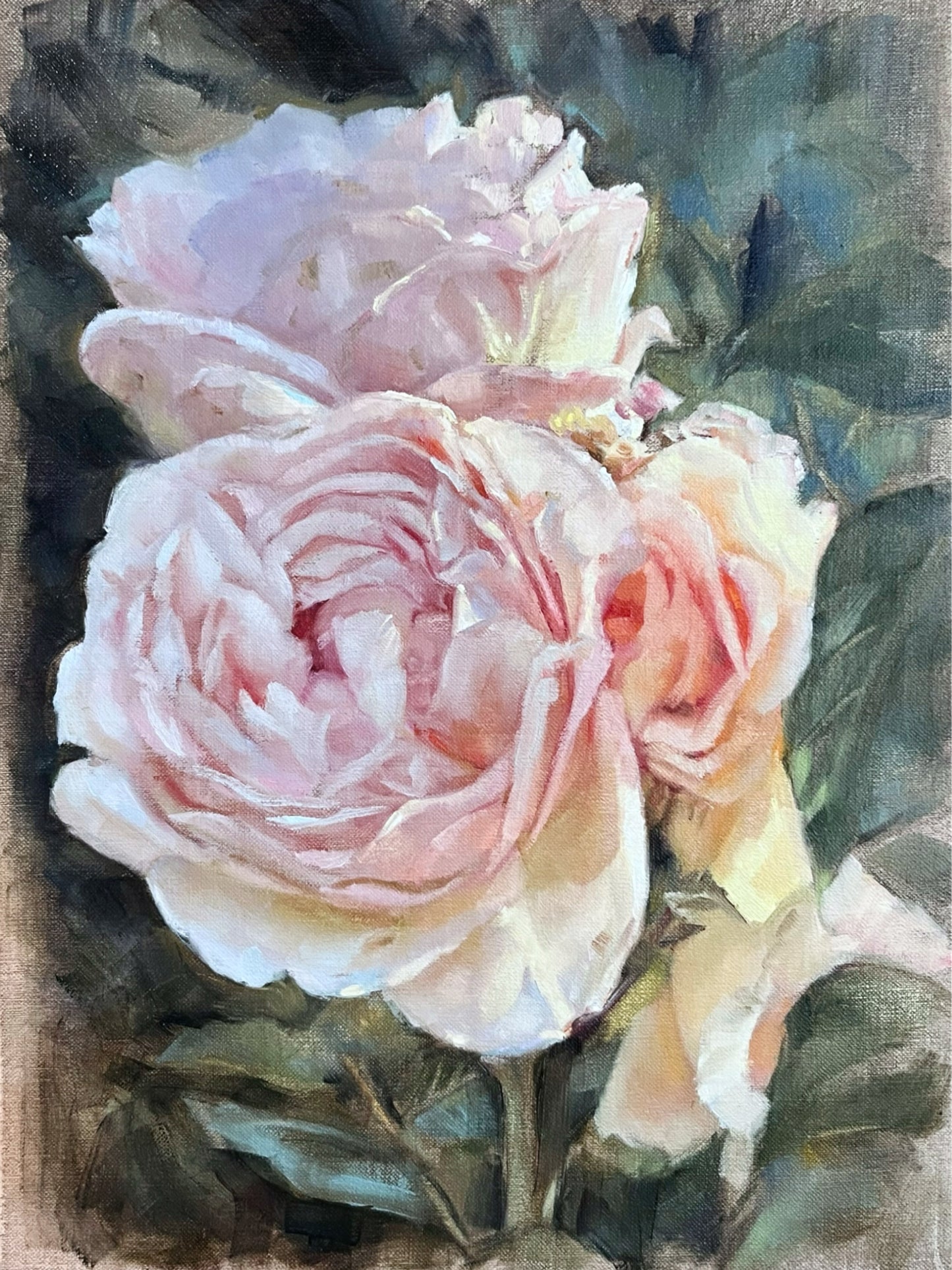 Roses in the Adamson Garden 9x12