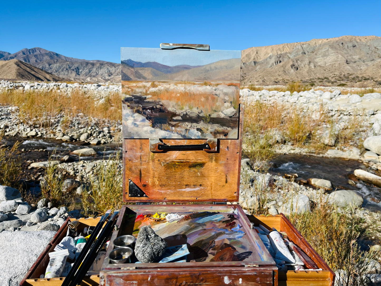 “Vermillion Willow” (White Water Preserve)