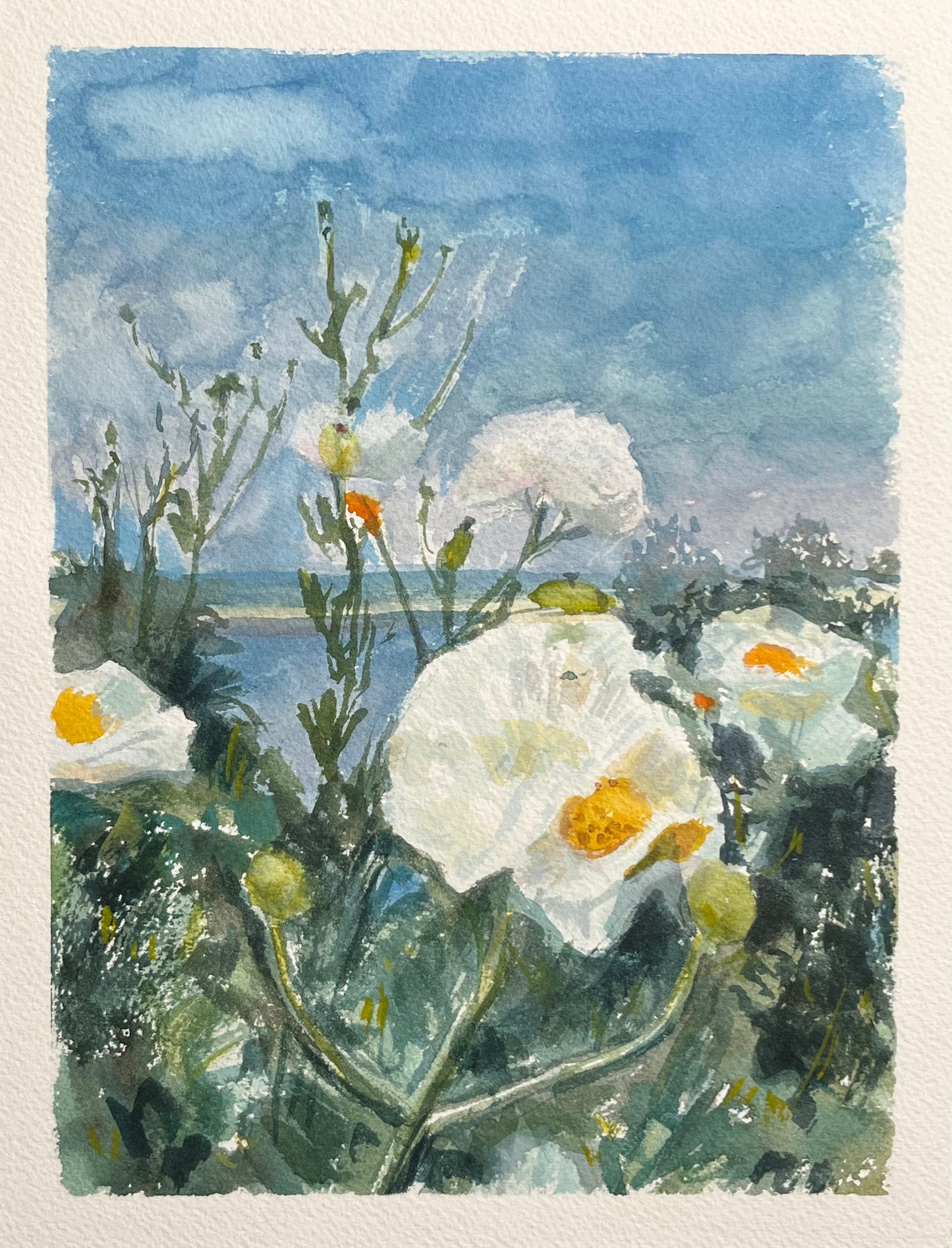 Adamson House Poppies 8x10
