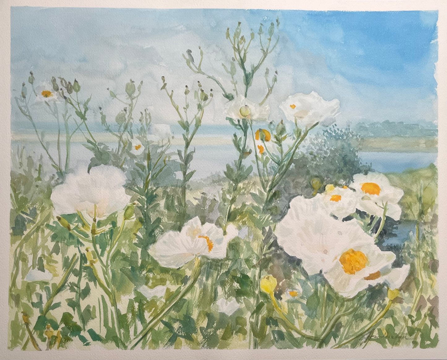 Summer Poppies at the Adamson House II 16x20