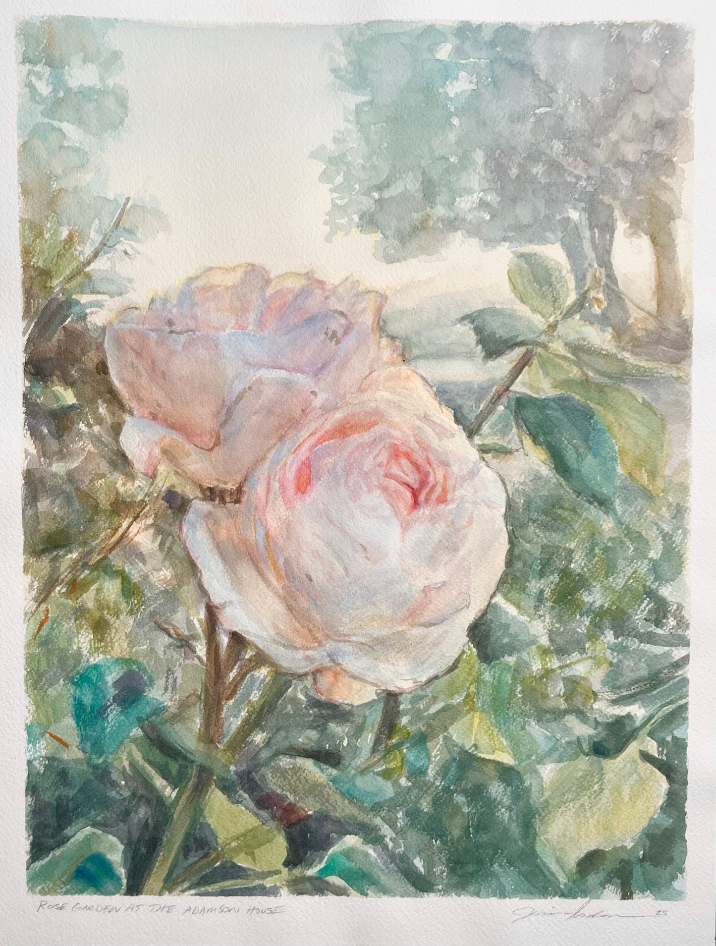Rose Garden at the Adamson House 12x16