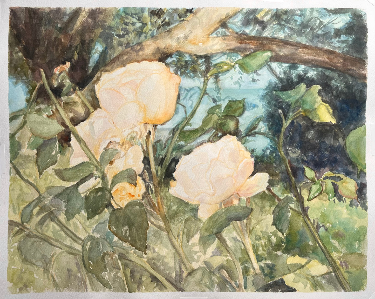 Rose Garden at the Adamson House II 16x20