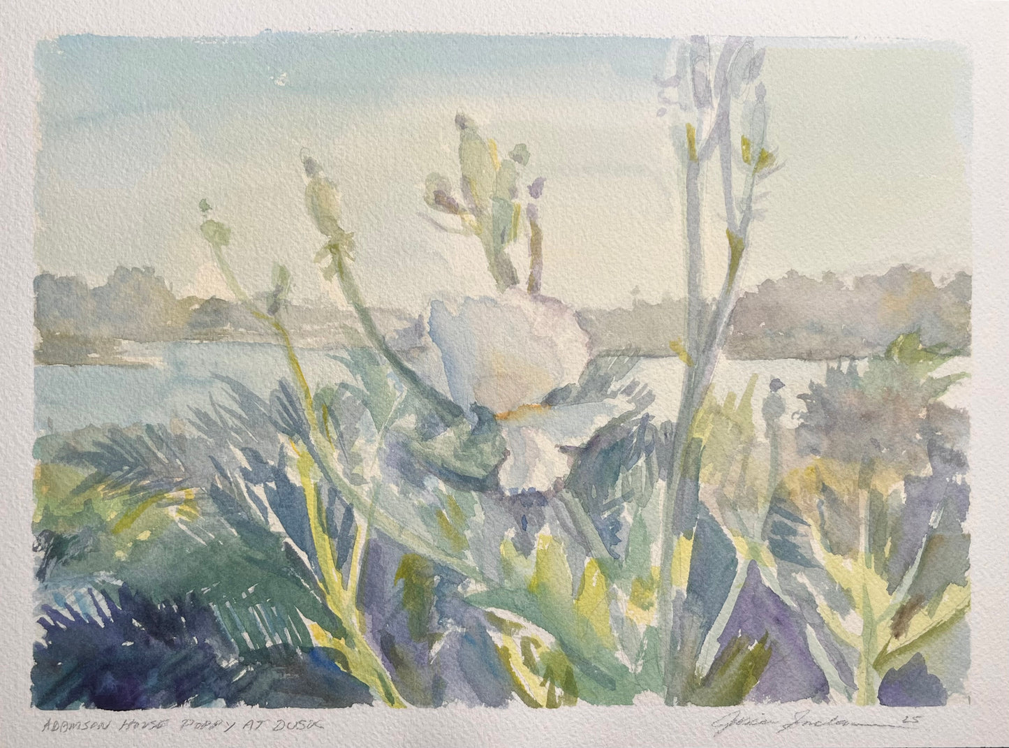 Adamson House Poppy at Dusk 9x12