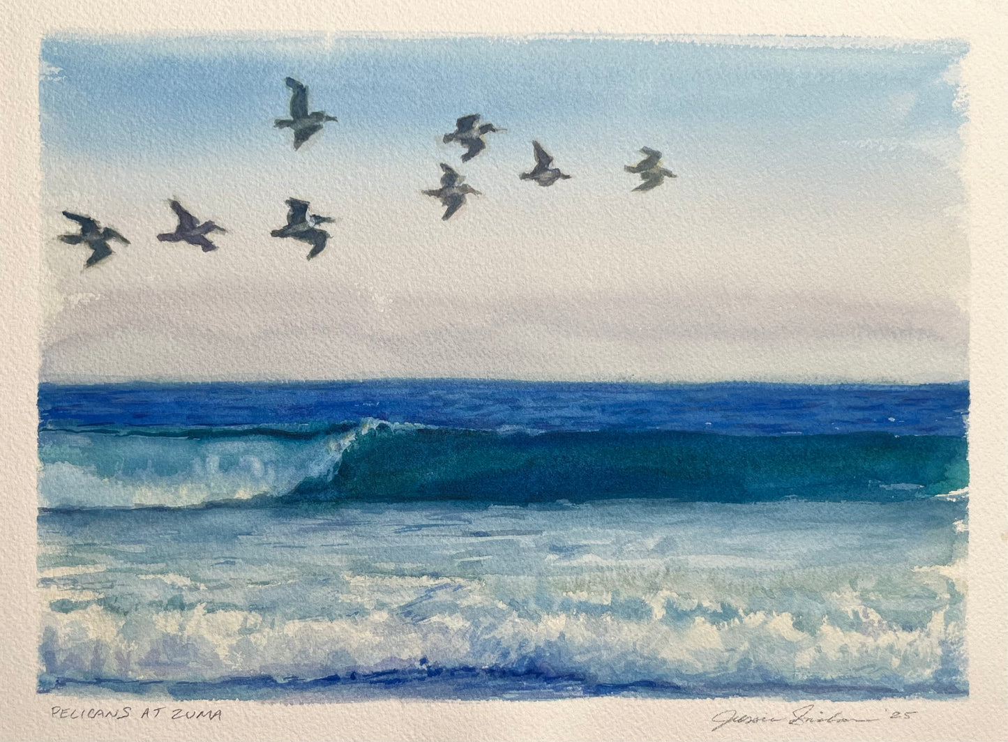 Pelicans at Zuma 9x12