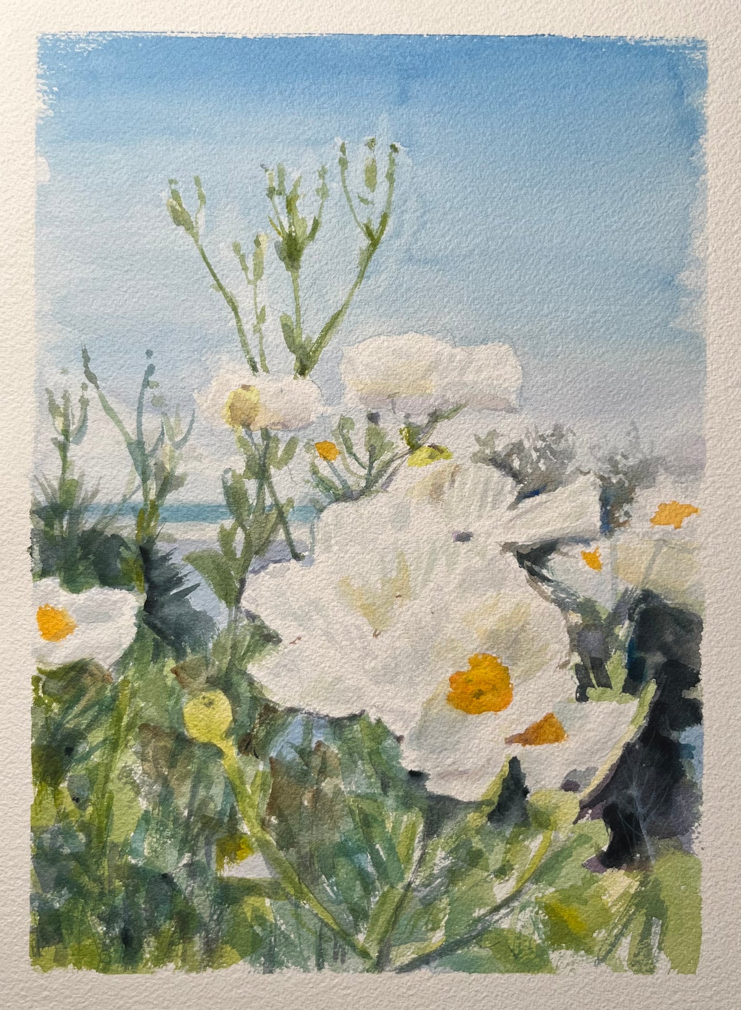Summer Poppies at the Adamson House III 9x12