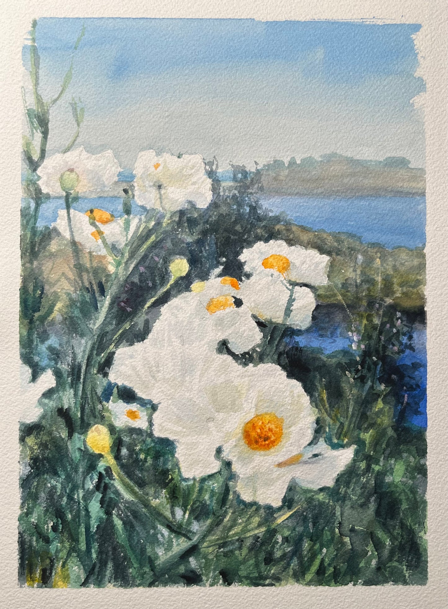 Adamson House Poppies II 9x12