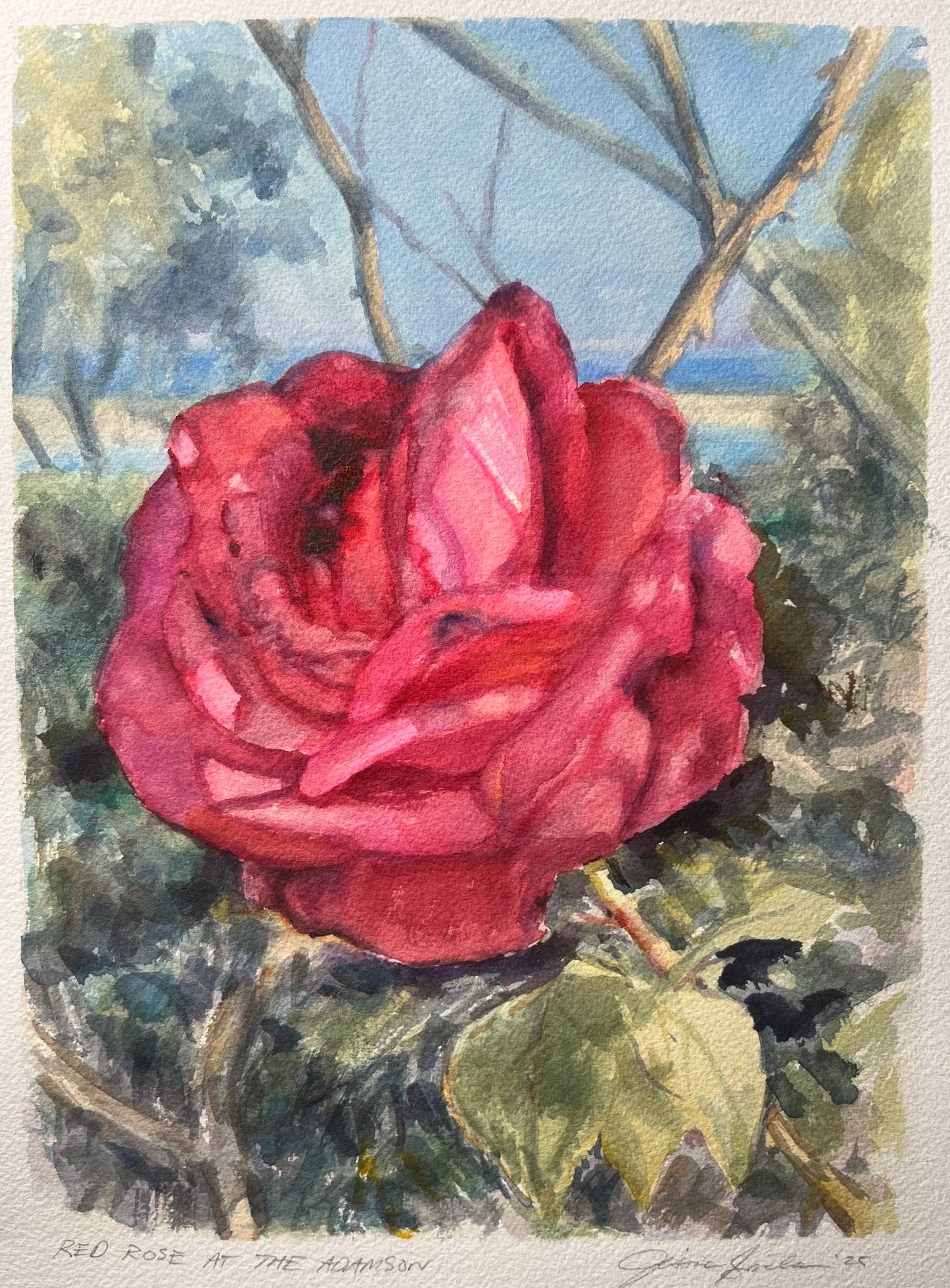 Red Rose at Adamson House 9x12