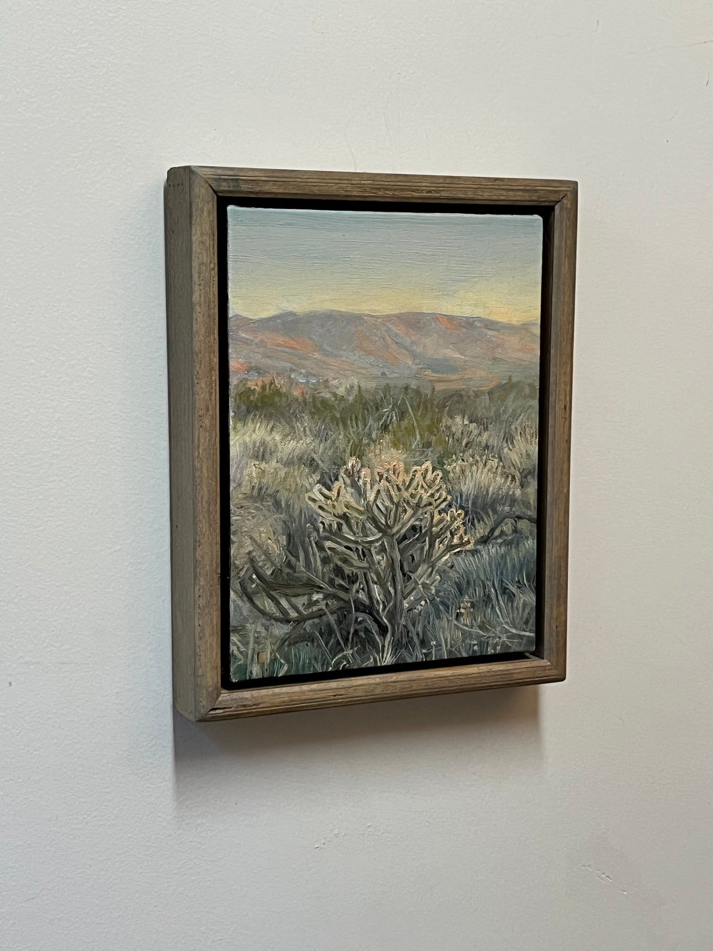 Cholla