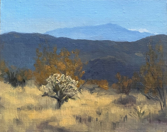 “Silver Cholla at Dusk”