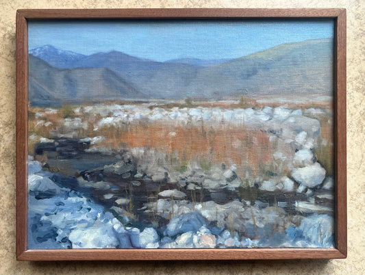 “Vermillion Willow” (White Water Preserve)