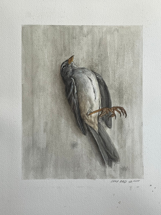 “Dead Bird” 8x10.5
