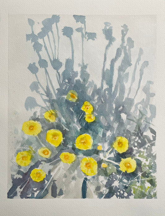 “Desert Marigolds” 10x12.5