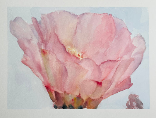 “Opuntia Basilaris Flower” 10x14