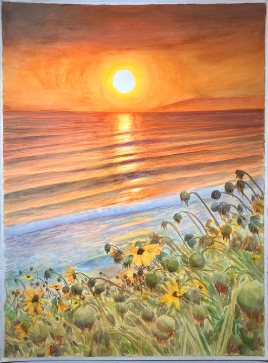 Spring Sunset at the Top of Rincon 22x30