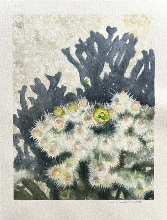 “Cholla Flowers” 10x13