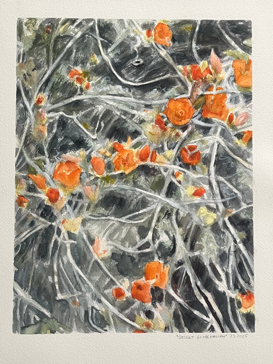 “Desert Globe Mallow” 10x13