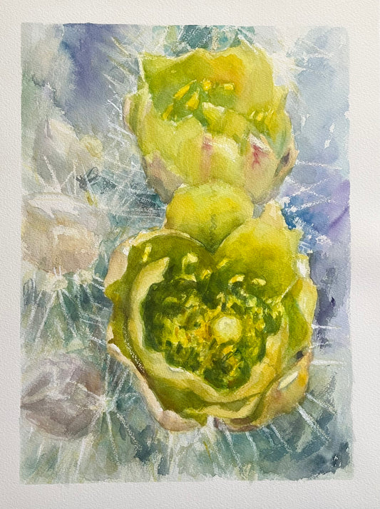 “Cholla Blossoms” 10x14