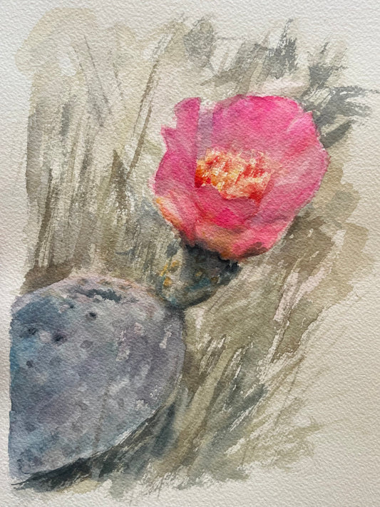 “Desert Cactus Blossom” 8x10