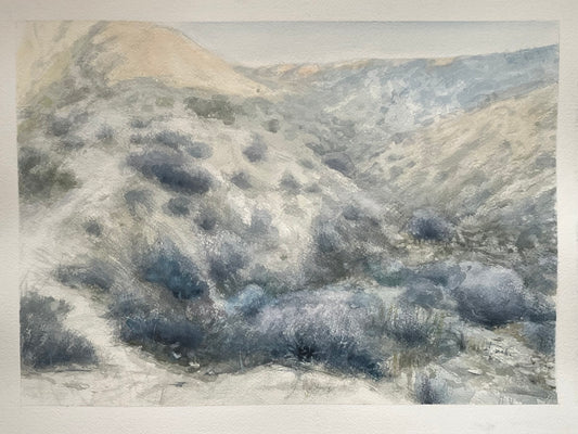 “Evening at Big Morongo Preserve” 14.5x10