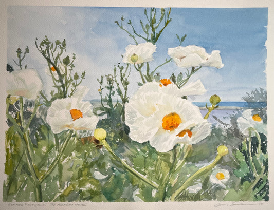 Summer Poppies at the Adamson House 12x16