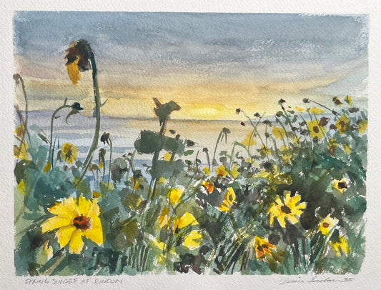Spring Sunset at Rincon 8x10