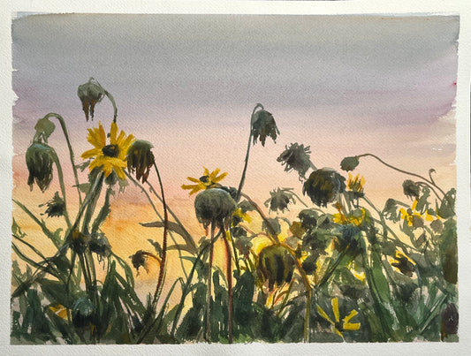 Sleeping Flowers 12x16