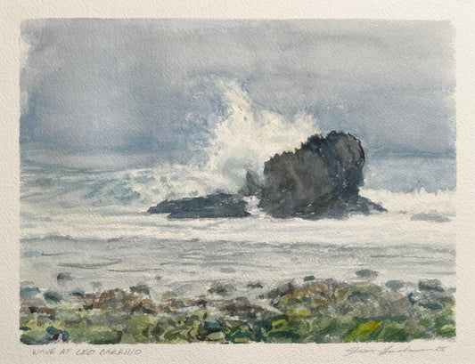 Wave at Leo Carrillo 8x10