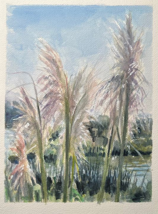 Pampas Grass at Malibu Lagoon 9x12