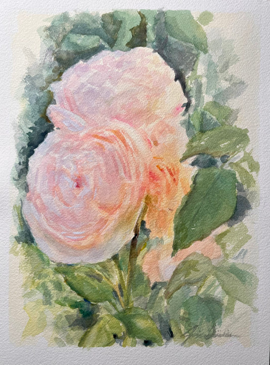 English Rose at the Adamson House 9x12
