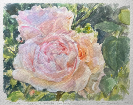 Roses and Spider in Adamson Garden 9x12
