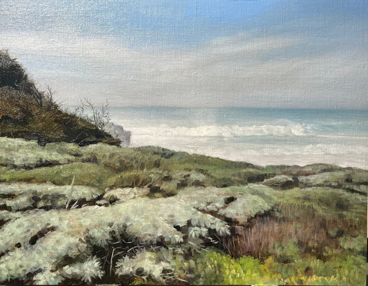 Sea Ranch Cliffside 11x14