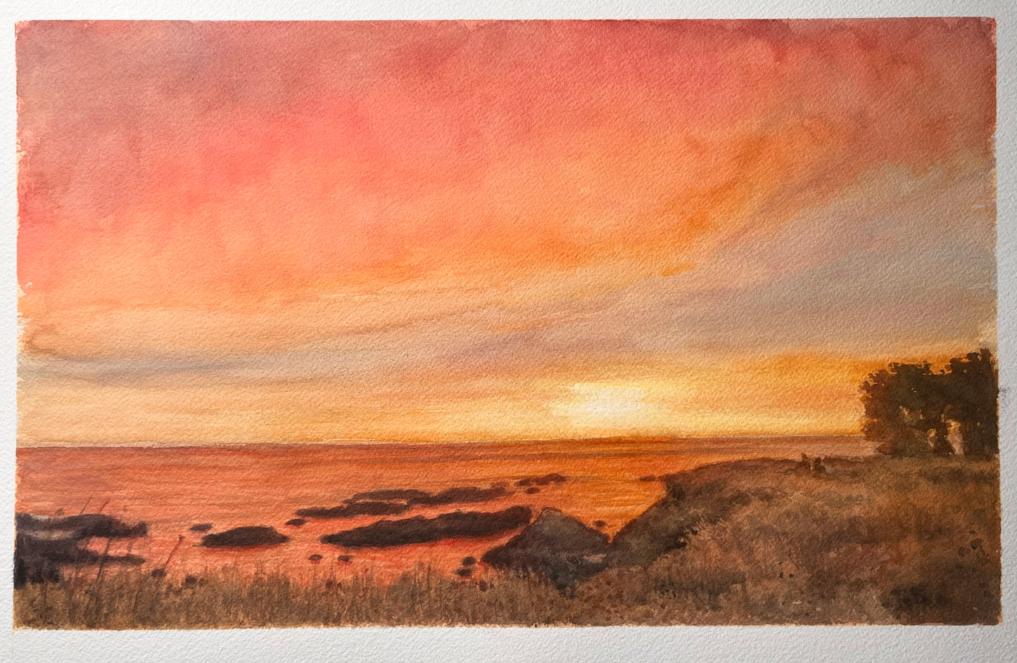 A Walk at Sea Ranch 10.5x16
