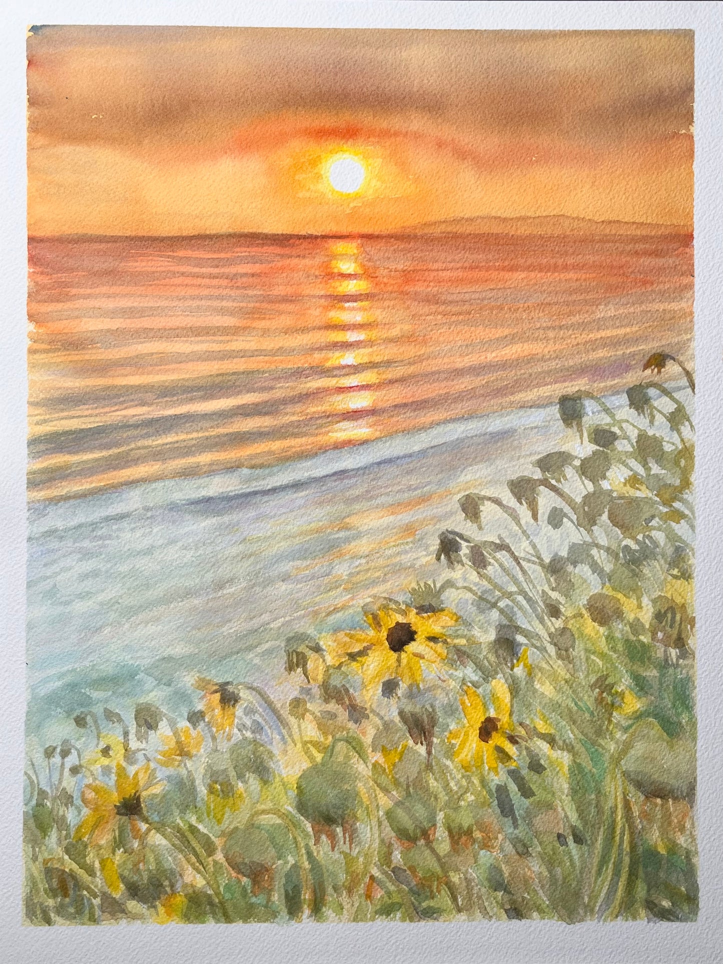Spring Sunset at Rincon II 12x16