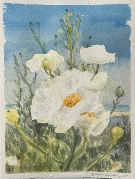 Adamson House Poppies III 6x8