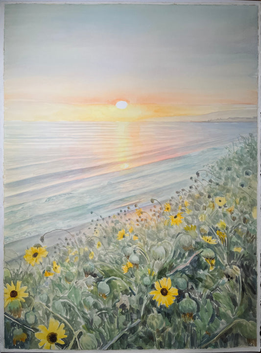 Sunset at Rincon Bluffs 22x30